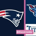 new england patriots vs tennessee titans match player stats