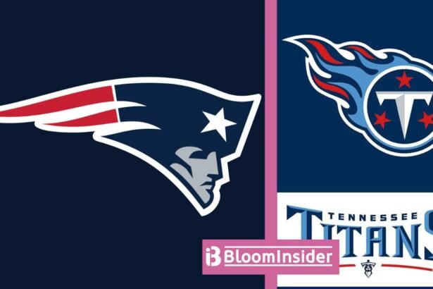 new england patriots vs tennessee titans match player stats