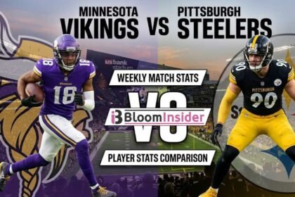 minnesota vikings vs pittsburgh steelers match player stats